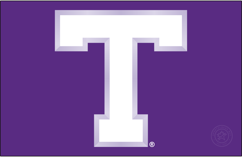 Tarleton Texans 2005-2018 Primary Dark Logo t shirts iron on transfers